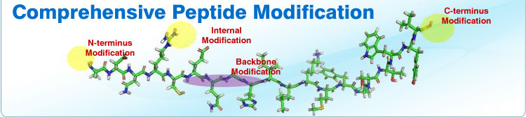 Peptide-Modifications-new.jpg